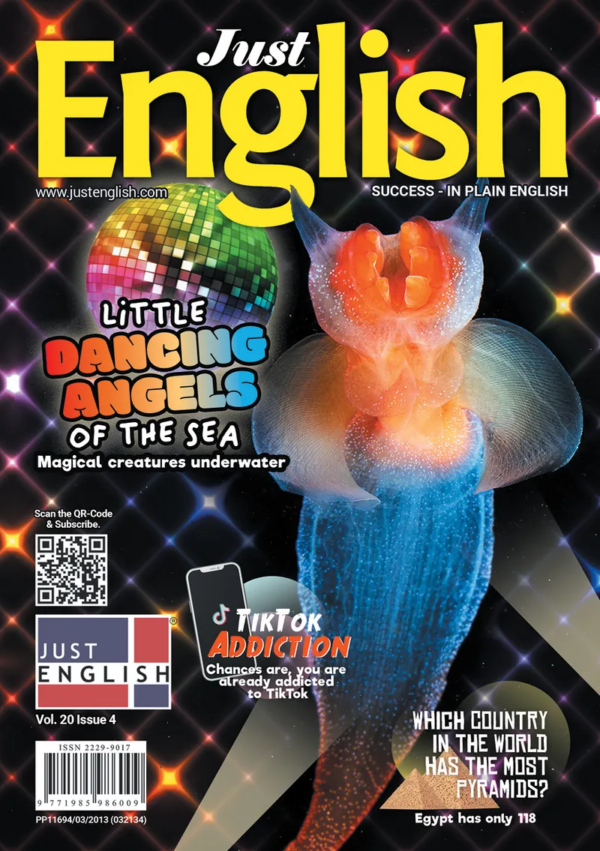Just English Magazine Vol 20 Issue 4